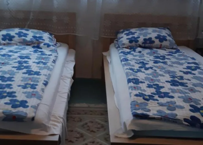 Pensjonat Aliise Garden Guesthause