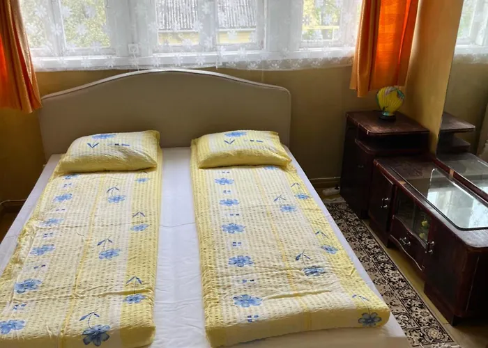 Aliise Garden Guesthause * Parnawa