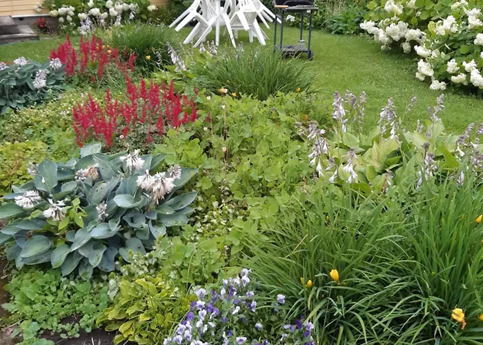 Pensjonat Aliise Garden Guesthause *